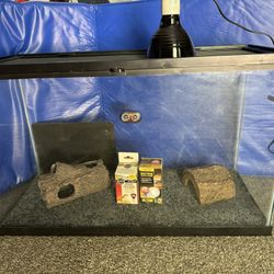 Reptile Habitat 