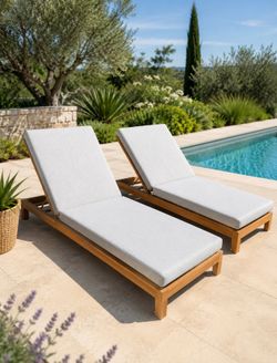 Restoration Hardware Balmain Pool loungers