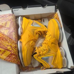 Brand New LeBron 19s Size 12 