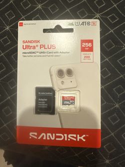 Sandisk 256 Gb 