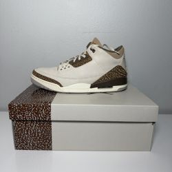 Jordan 3 Size 13