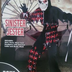 Boys Halloween Costume  SINISTER JESTER