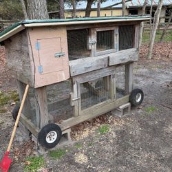 bunny cage 