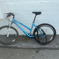 Magna Great Divide 26” Project Bike + Extra Wheel – $71