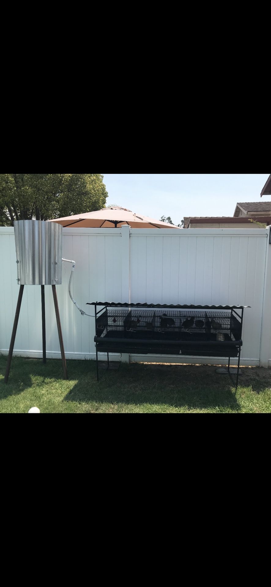 Birds Coop