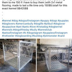 Dog Kennels Florida 🐕
