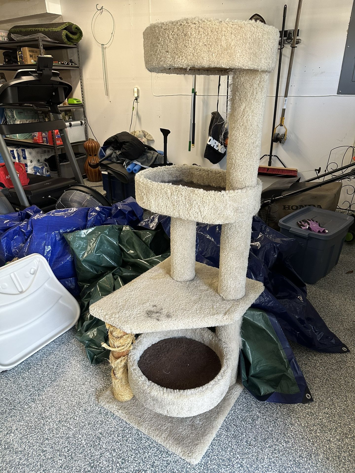 FREE Cat Tree & Accessories
