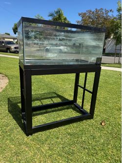 40 gal aquarium tank with stand.