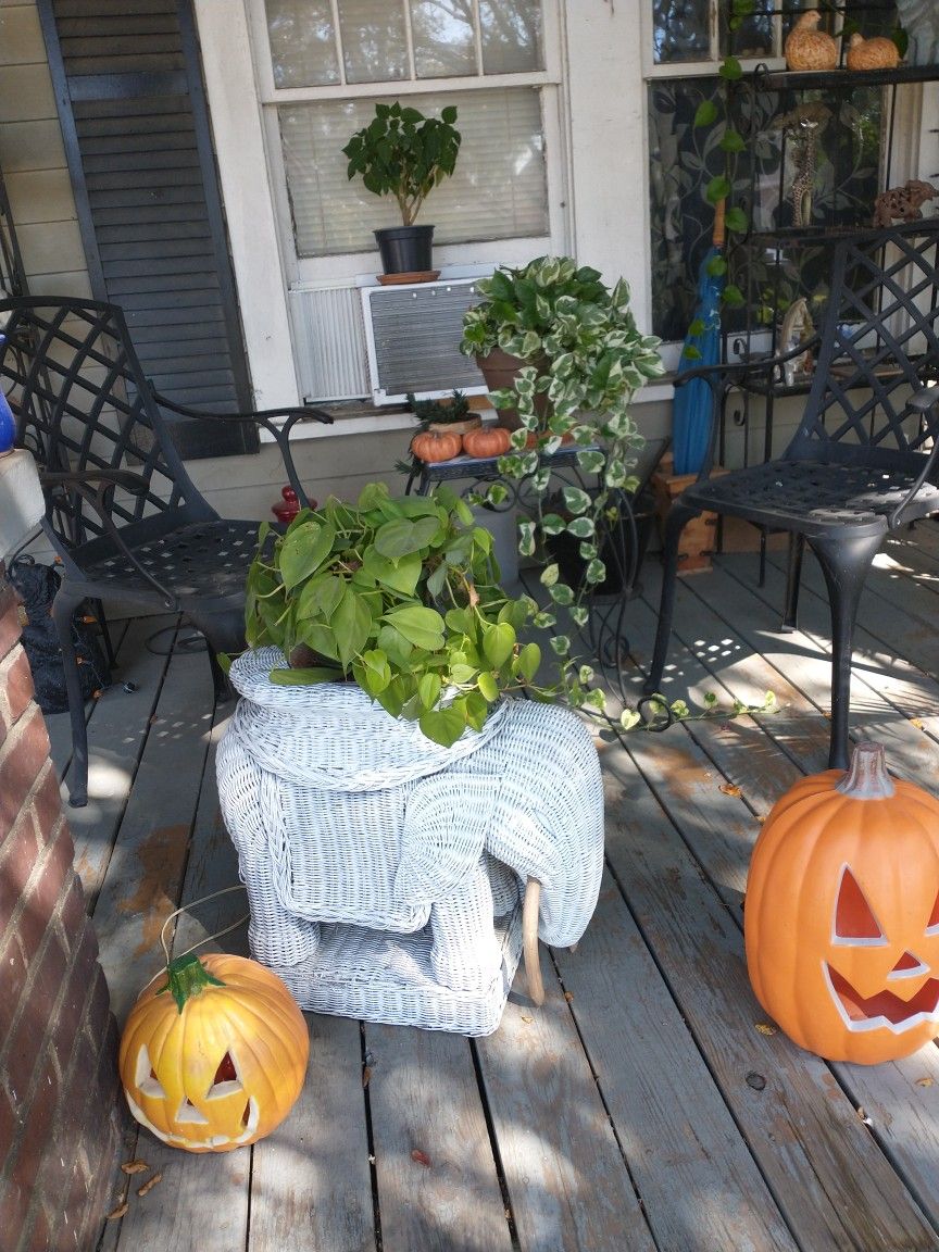 Pado Set With Elephant Planter 