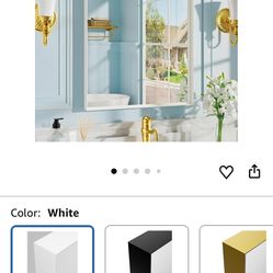 Dimelqx 22”x30” Metal Framed Bathroom Mirror 