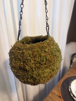 Moss hanging flower pot