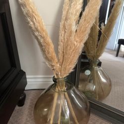 Pampas With Vase