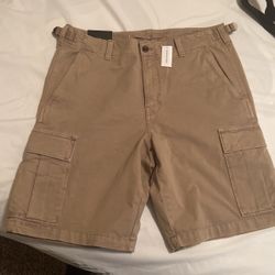 Banana Republic  Cargo Shorts