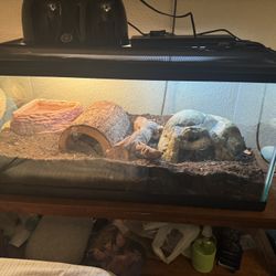 Snake Tank 500
