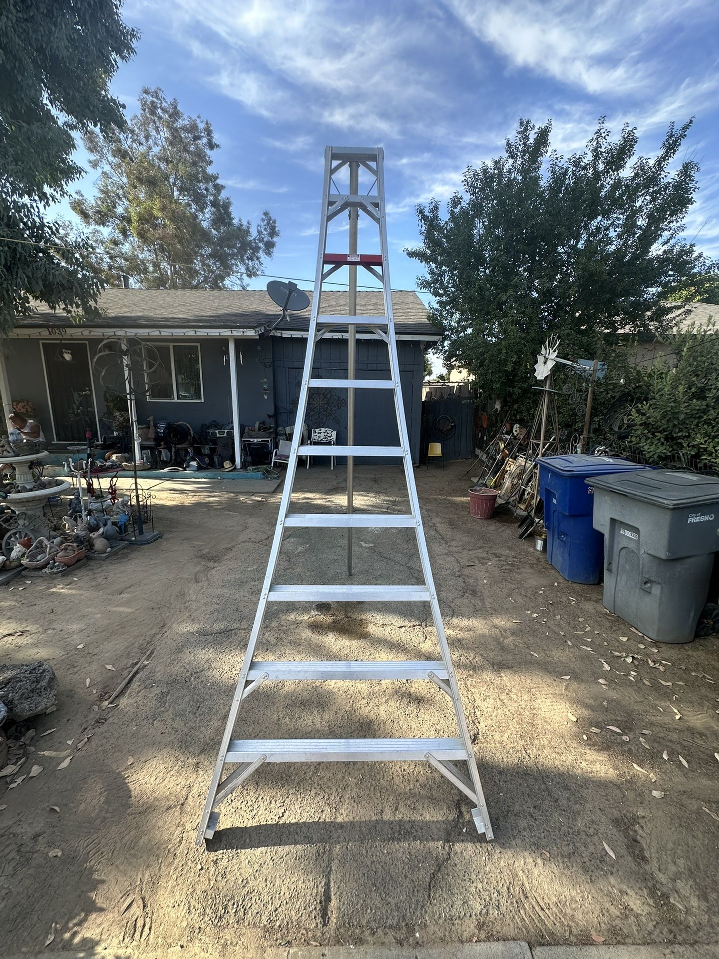 10 Foot Aluminum Ladder