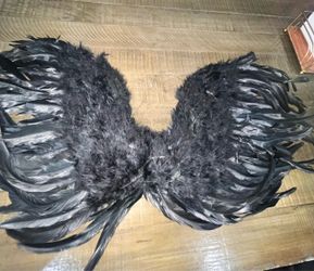 Wings adult black