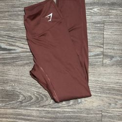 gym shark tights 