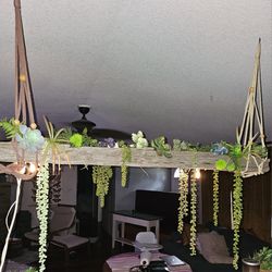 Drift Wood And Succulent Lighting Installation 