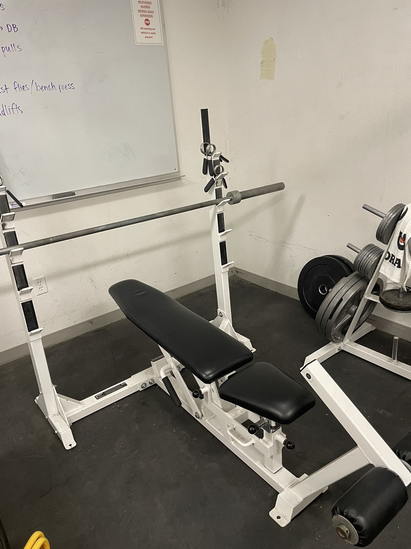 Bench Press BFS