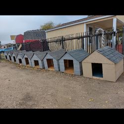 Dog Houses 4ft X 4 Ft Ready For Pickup 