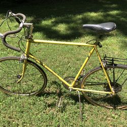 Vintage Schwinn Continental