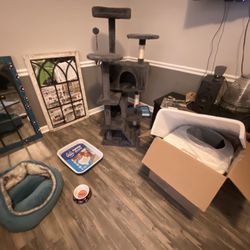 Brand New Cat Supplies