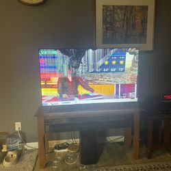 Free Tv