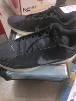Nike LeBron 9.5