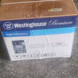 Westinghouse Tankless water heater  Wgrtng199 Gas