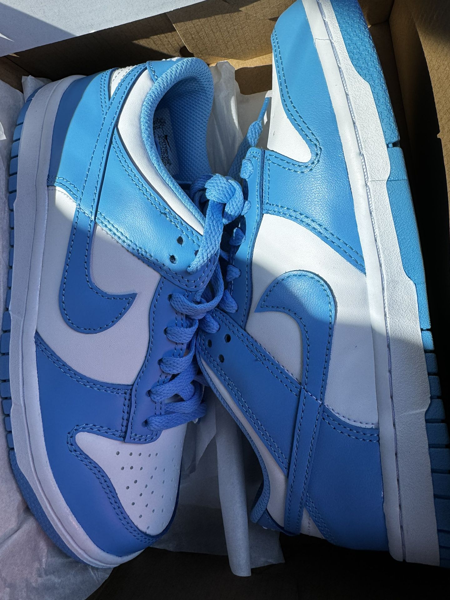 Nike Dunk Low Unc 