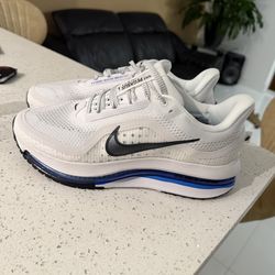 Nike Pegasus 9.5 men