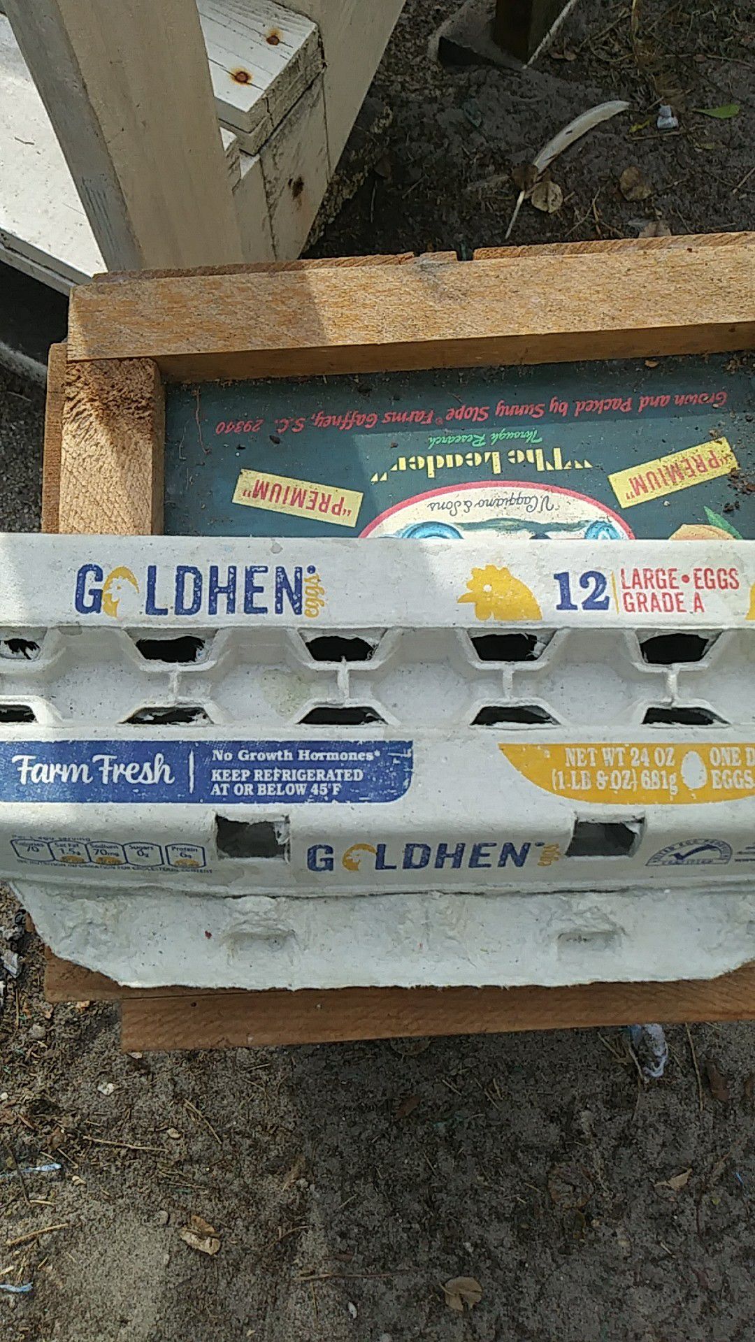 12 Cardboard Egg Cartons