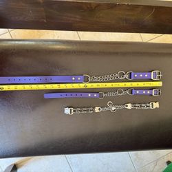 Dog Collar’s