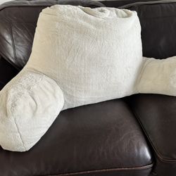 Reading Pillow $15