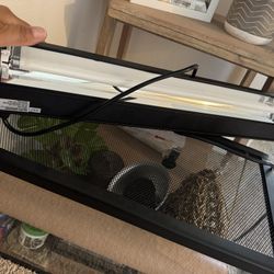 Bearded Dragon/Lizzard Habitat 