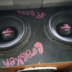 2  12 Inch Scar Audio Svr's And 1  12 Shop Built Sub  And 2500 Watt Amp