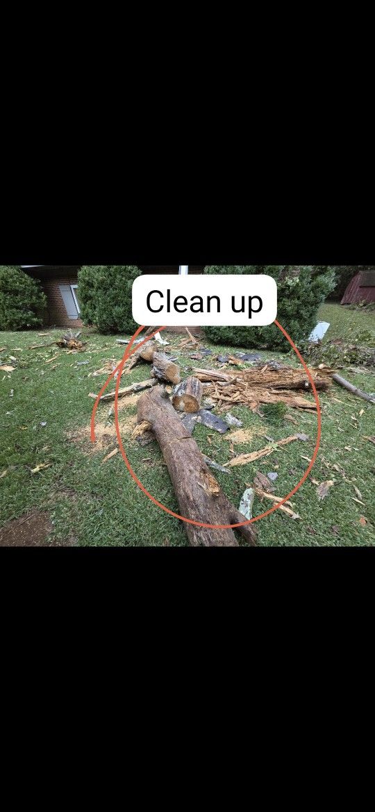 Tree Work