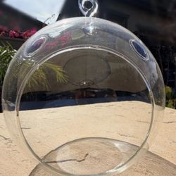32 Terrarium Globes 4.5" - Hanging Planter, Air Plants, Ornaments