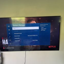 75 Inch Samsung Flat Screen Tv