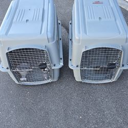 Petmate Sky Kennel Ultra – Medium/Large (50–70 lb Dogs)