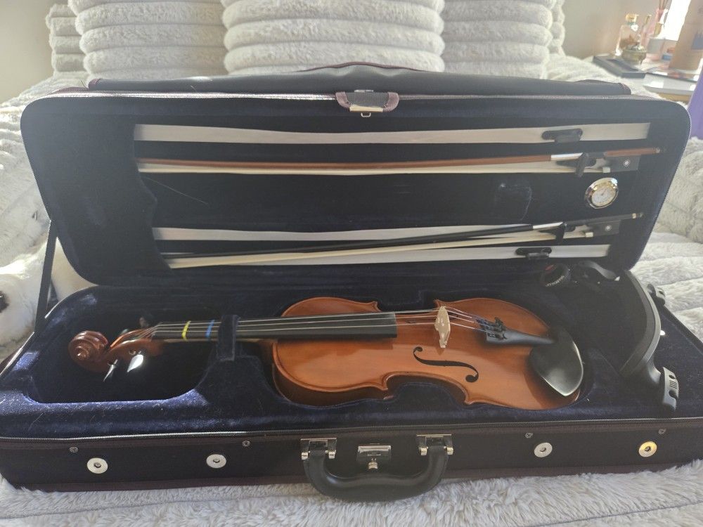 Violin Full Size 