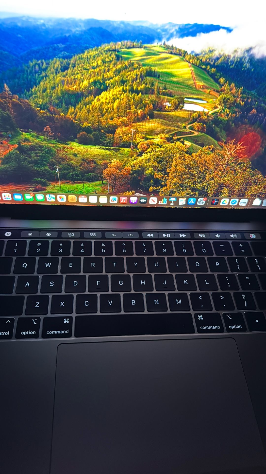 MacBook Pro w/ Charger