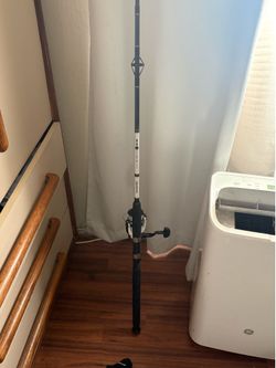 Daiwa rod and reel combo