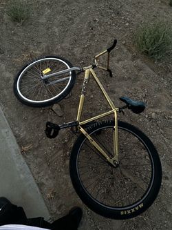 Throne 29er