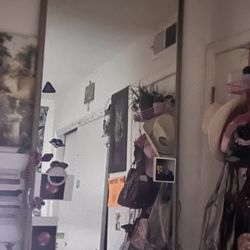 Tall Closet Mirror 