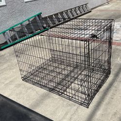 Large Dog Kennel