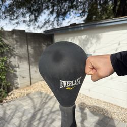 Punching Bag (reflex Bag) 