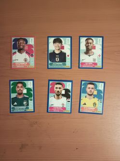 FIFA World Cup Panini Sticker