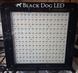 Black Dog LED grow lights