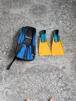 Diving Flippers And Carrybag